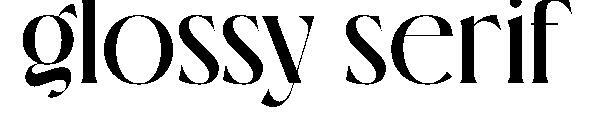 광택 있는 세리프체(glossy serif字体)