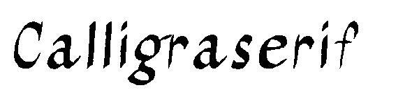 칼리그라세리프글자체(Calligraserif字体)