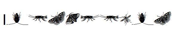 الحشرات(Insectsone字体)