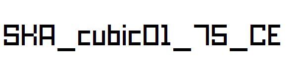 SKA_cubic01_75_CE문자체(SKA_cubic01_75_CE字体)