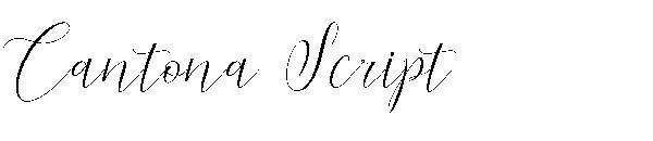 Cantona 스크립트 字體