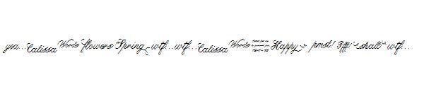 Calissa Words 字体(Calissa Words字体)