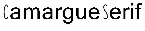 Камарг с засечками字体(Camargue Serif字体)