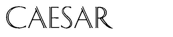 CAESAR 문자체(CAESAR字体)